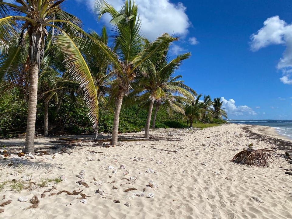 Nearby landmark, Natural landscape, Beach