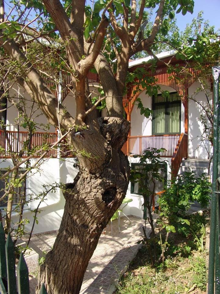 Orhan Kutbayin Evi Bed and Breakfast in Istanbul