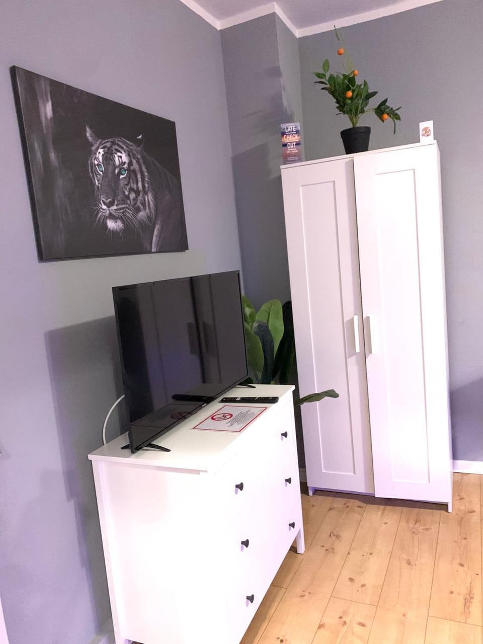 TV and multimedia, Evening entertainment, storage, wardrobe