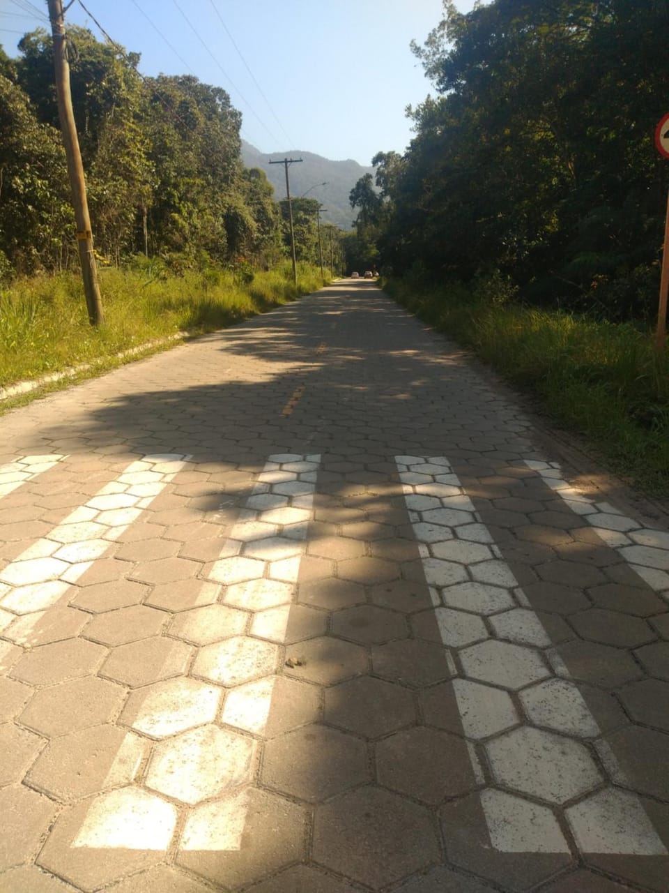 Natural landscape