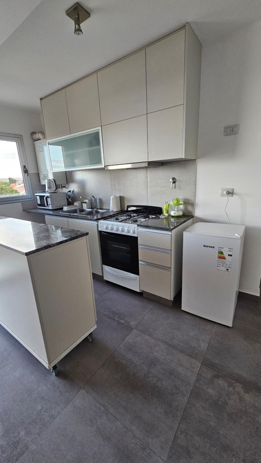 Kitchen or kitchenette, minibar, oven, pet friendly, stove