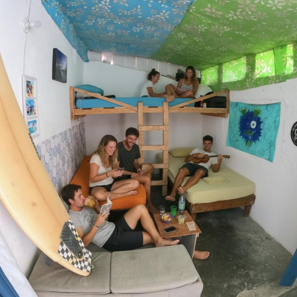 Aloha Surf Hostel Hostel in San Jose del Cabo