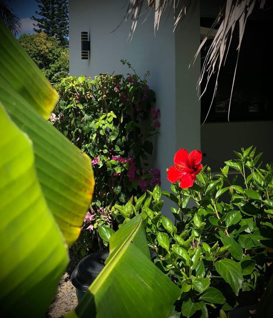 Garden, Garden view