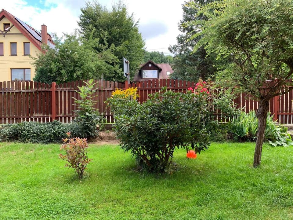 Natural landscape, Garden, Garden view
