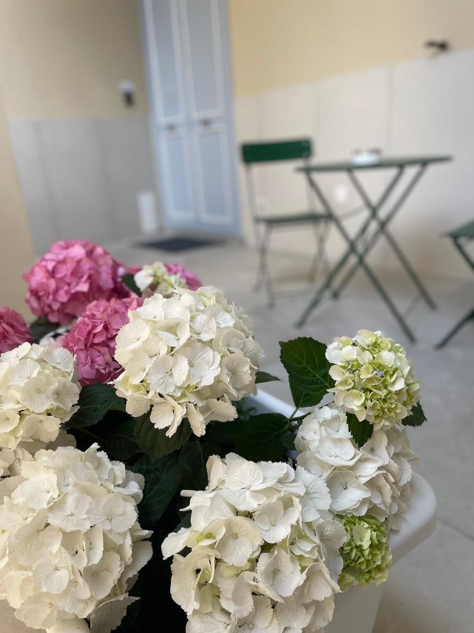 Miambra Vacation rental in Campania