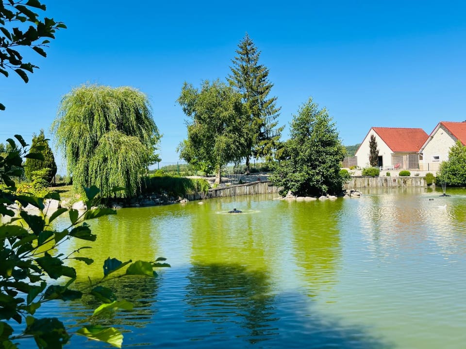 Eden aux hirondelles Bed and Breakfast in Hauts-de-France