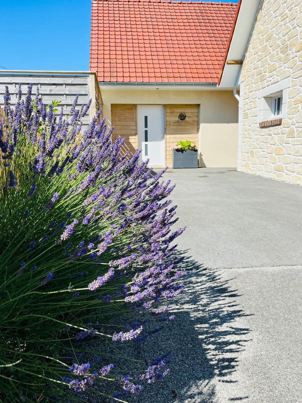 Eden aux hirondelles Bed and Breakfast in Hauts-de-France