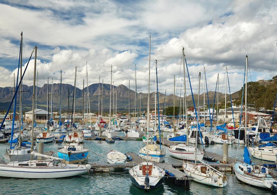 Neighbourhood, Fishing