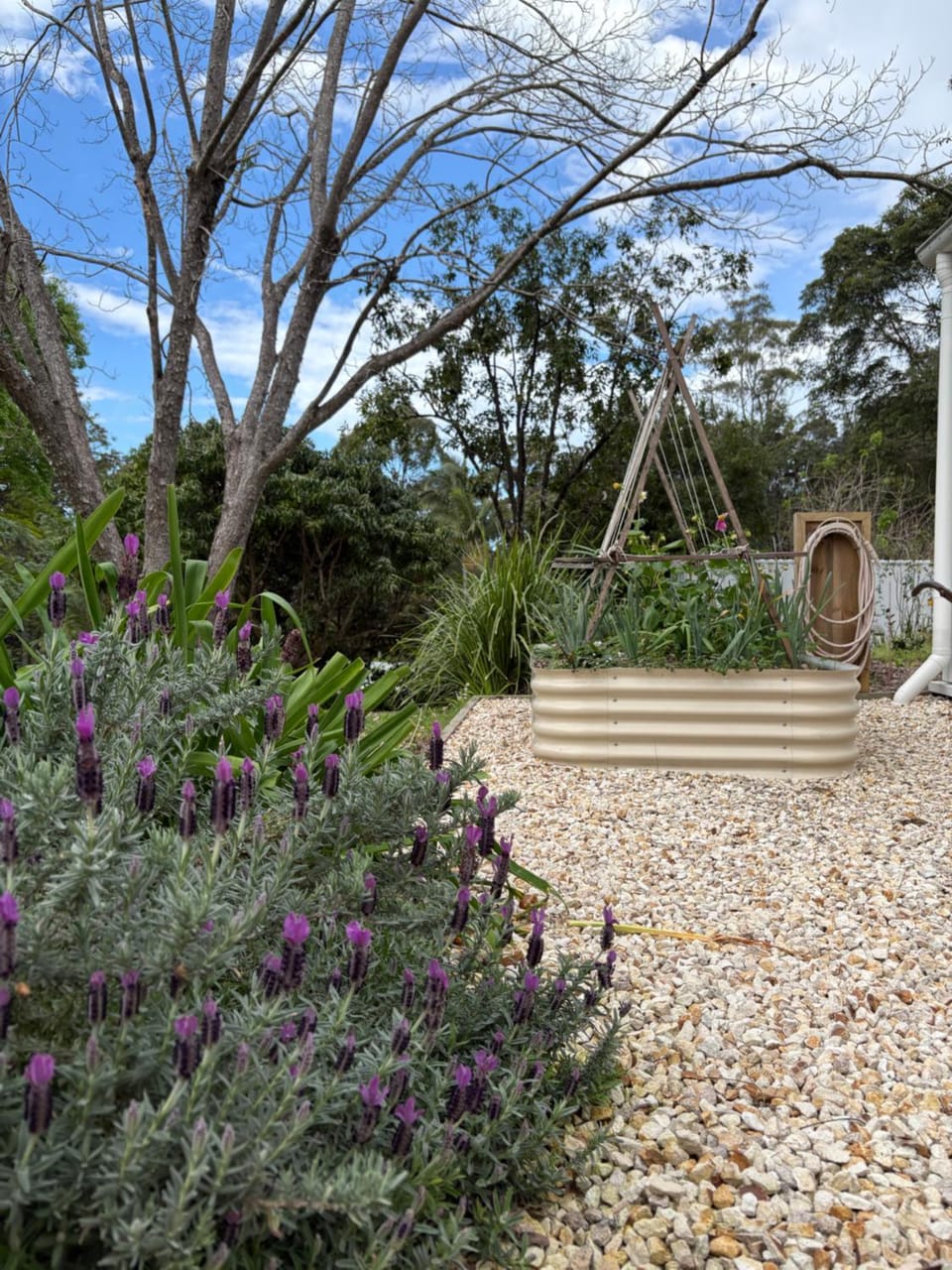 The Pottery Shed House in Coffs Harbour
