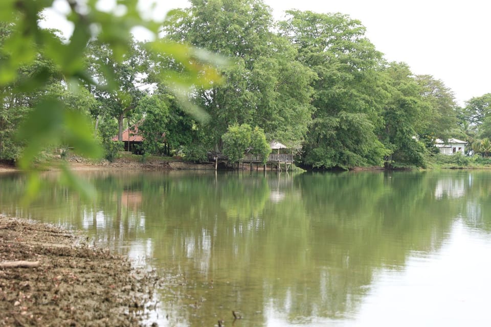 Lake view