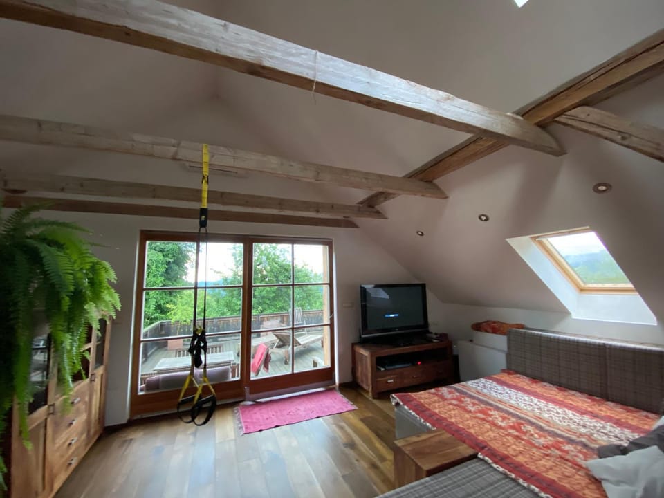 Stunning Hills View Apartment Vransko Apartment in Slovenia