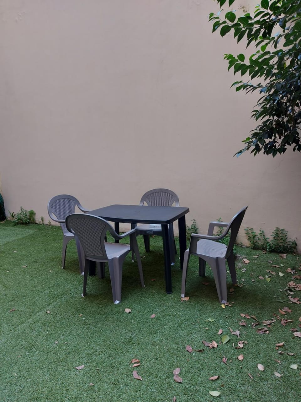 Garden, Garden view