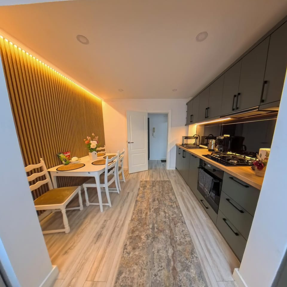 Kitchen or kitchenette, Dining area, oven, stove