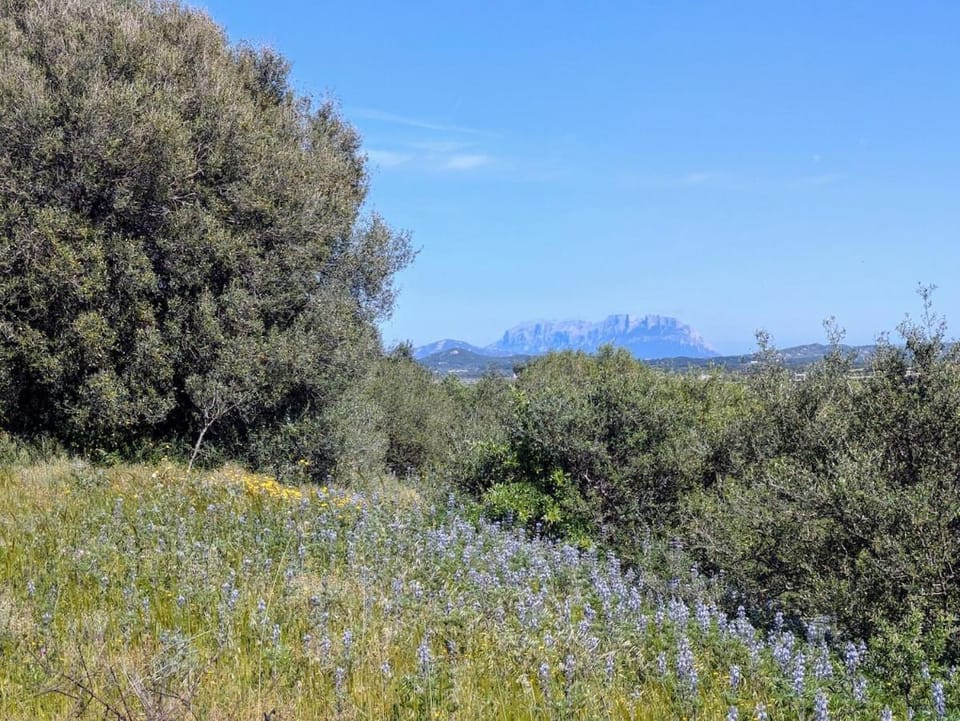 Natural landscape