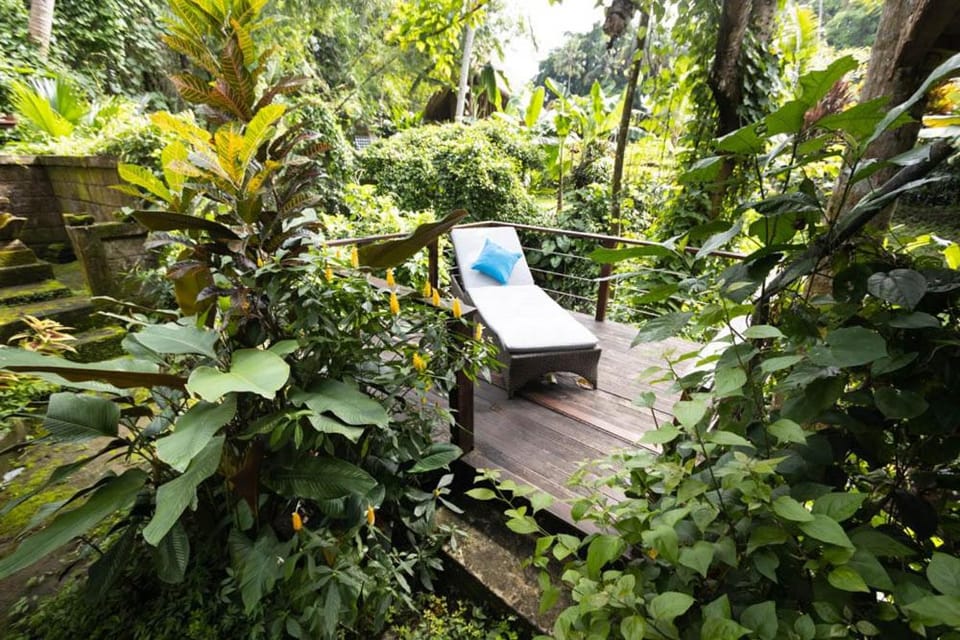 Patio, Balcony/Terrace