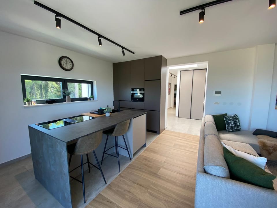 TV and multimedia, Kitchen or kitchenette, Living room, Seating area, Dining area, minibar