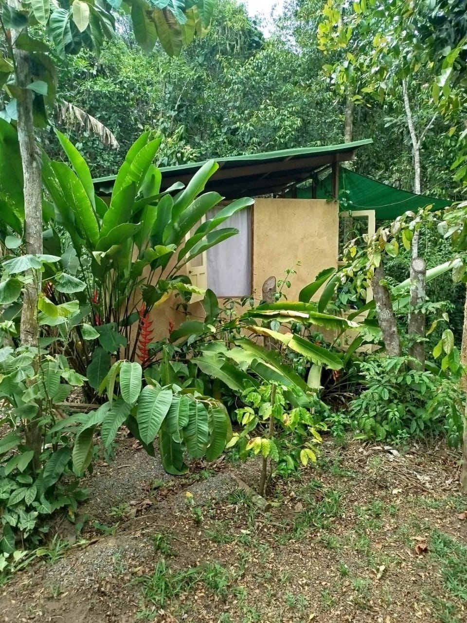 Property building, Natural landscape, Garden