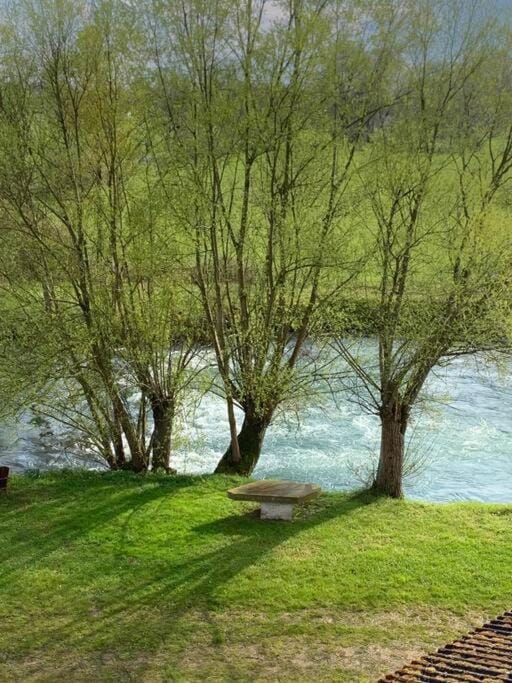 Natural landscape, Garden