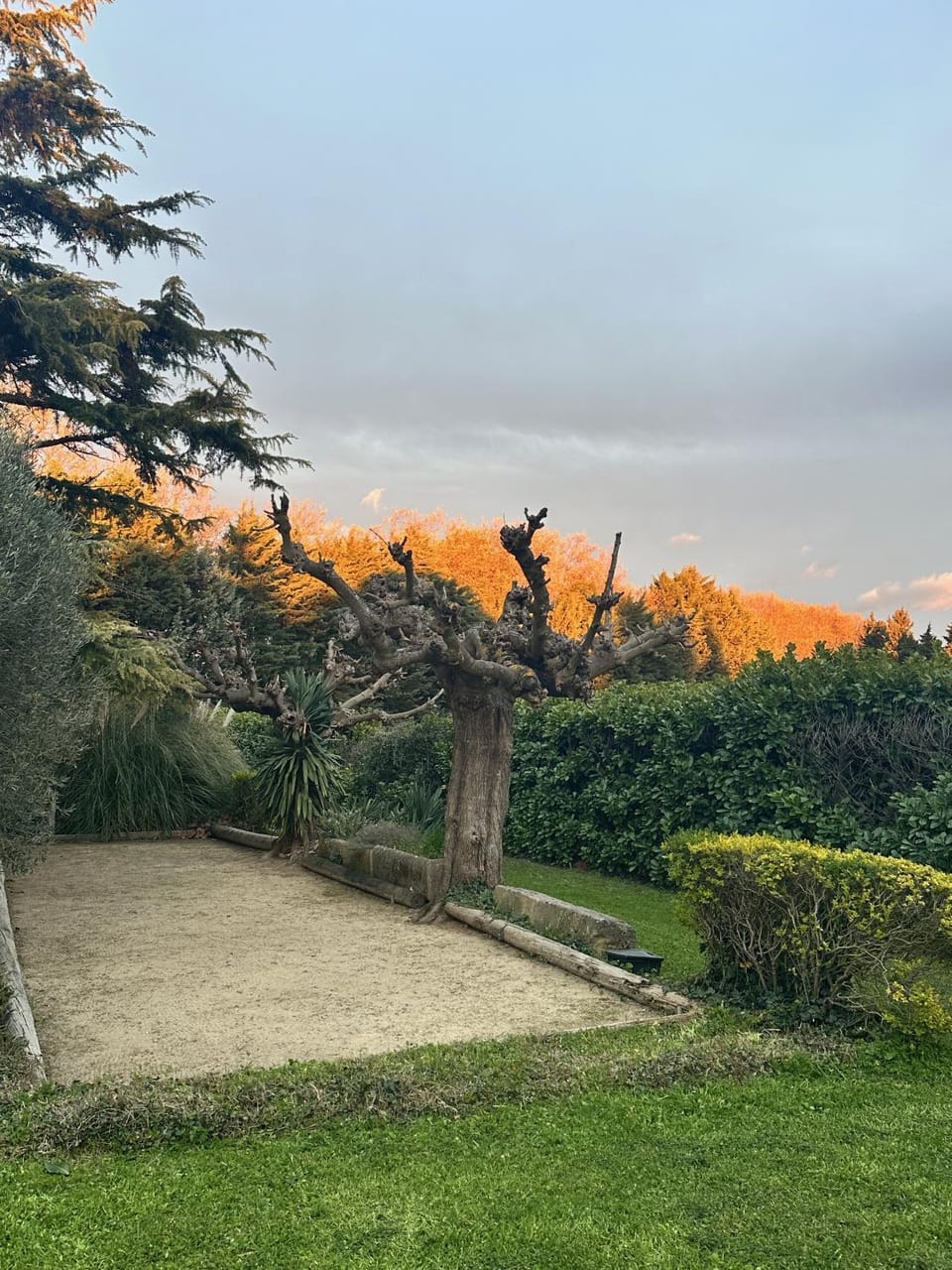 Garden view