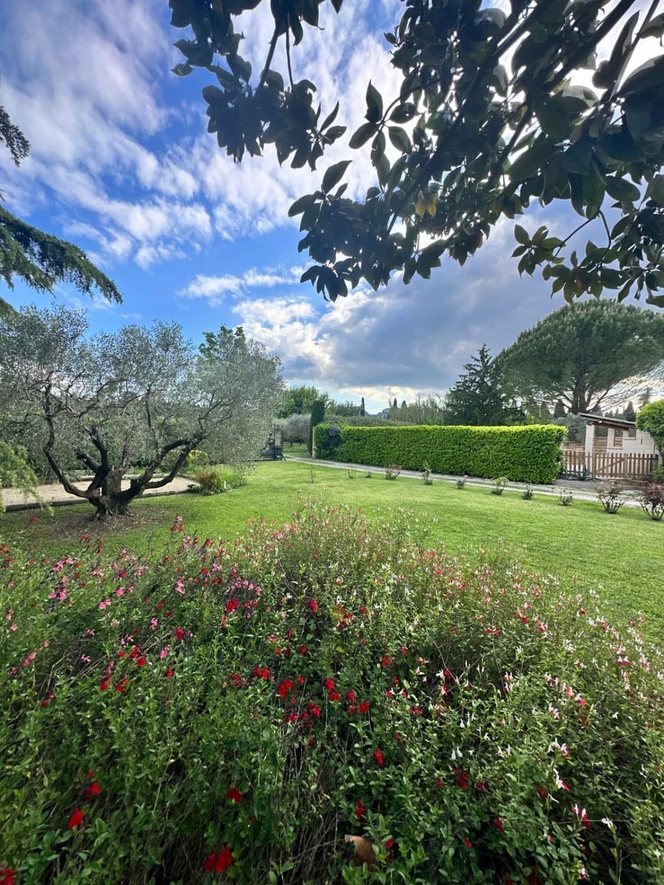 Garden, View (from property/room)
