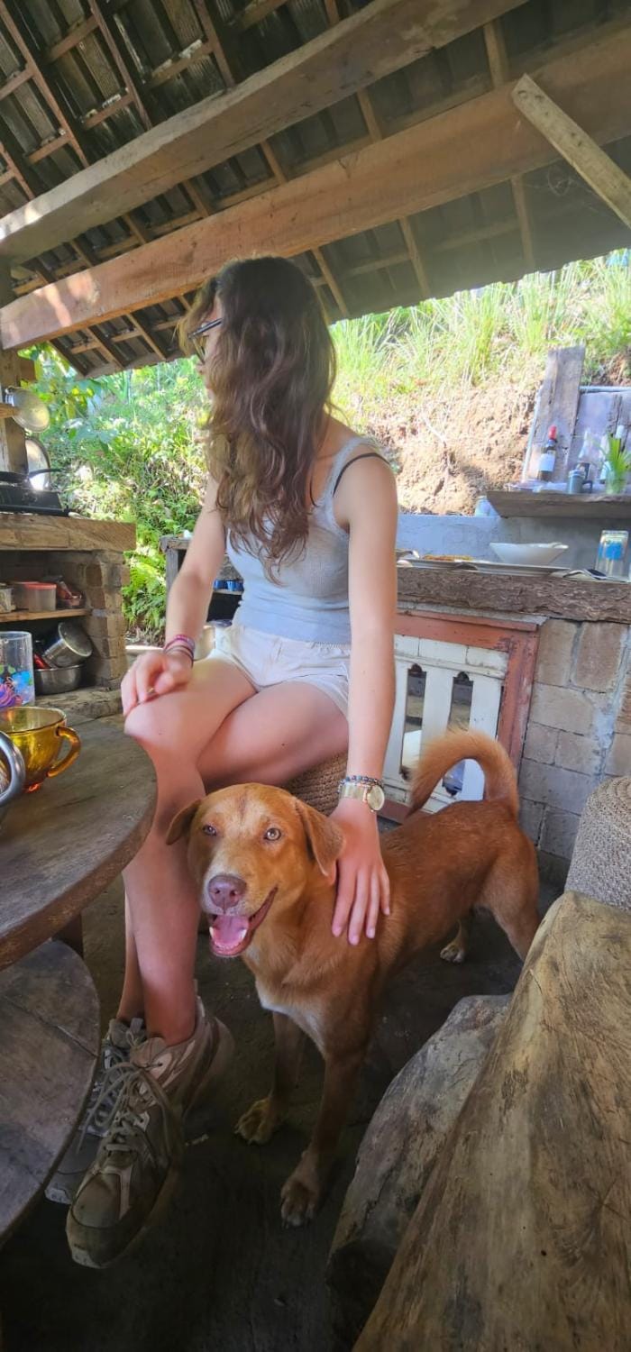 People, Pets