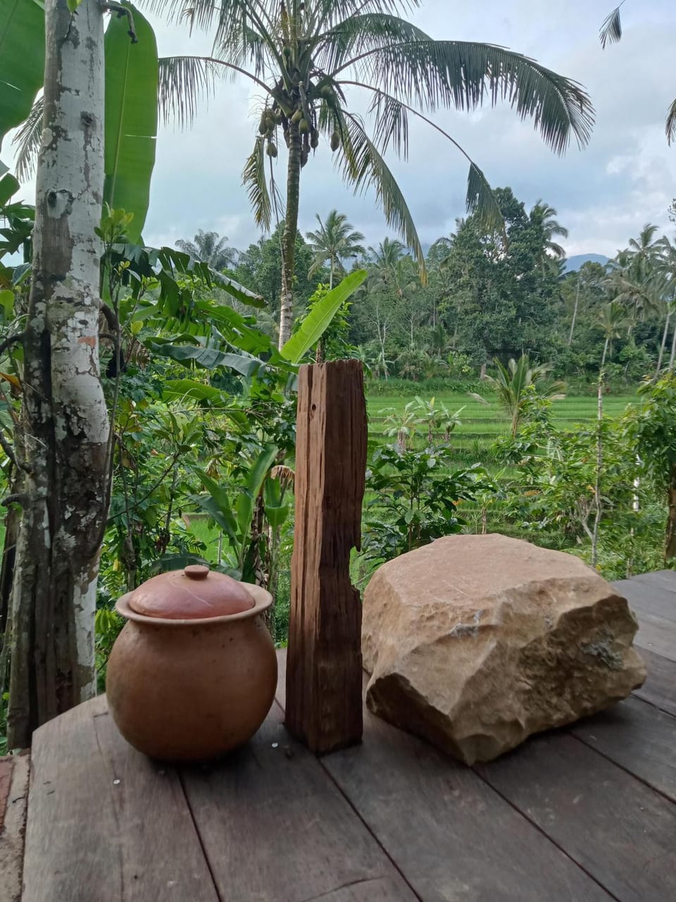 Natural landscape, Garden view