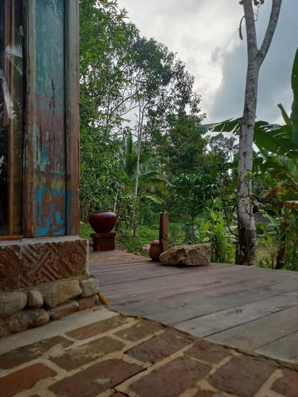 Natural landscape, Garden, Garden view