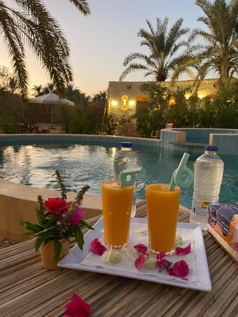 Siwa Palace Lodge Hotel in Egypt