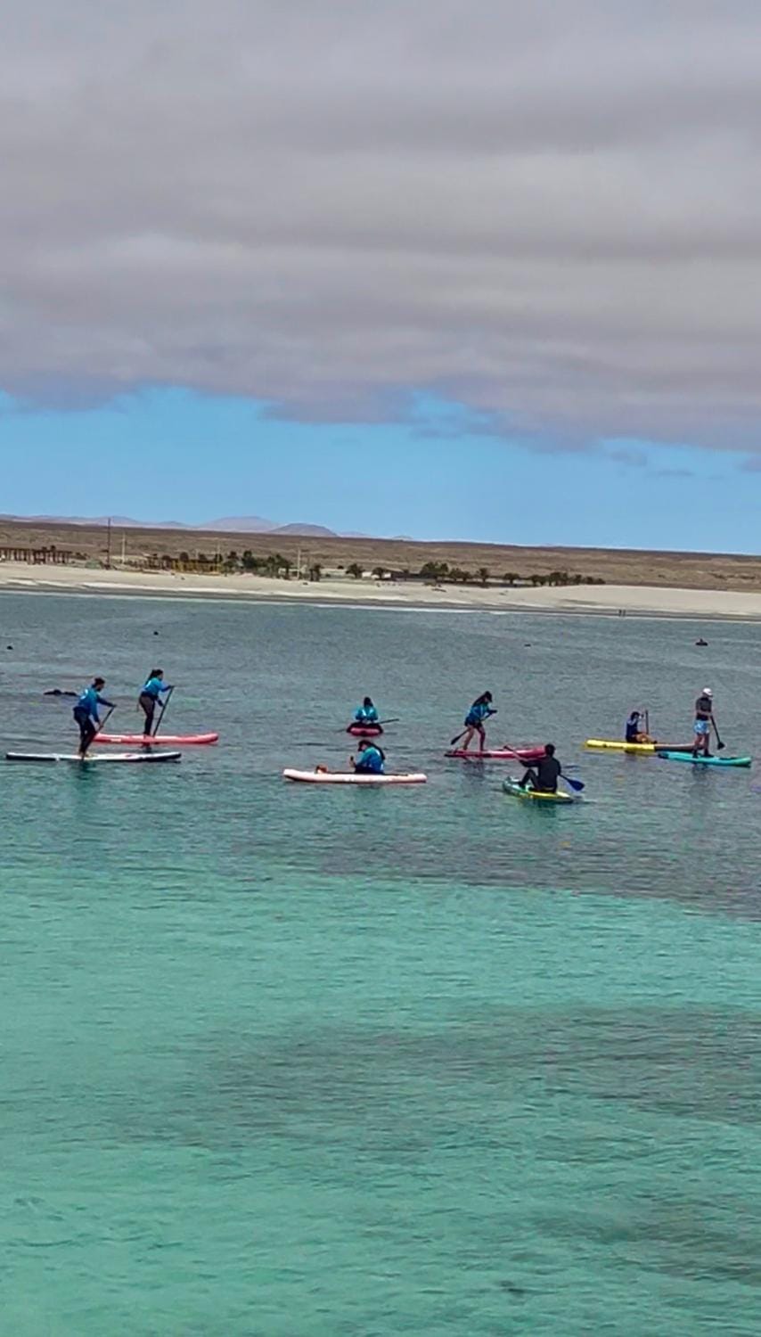 Activities, Beach, Sports