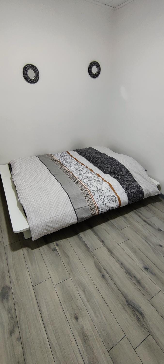 Appartement en centre ville Apartment in Thonon-les-Bains