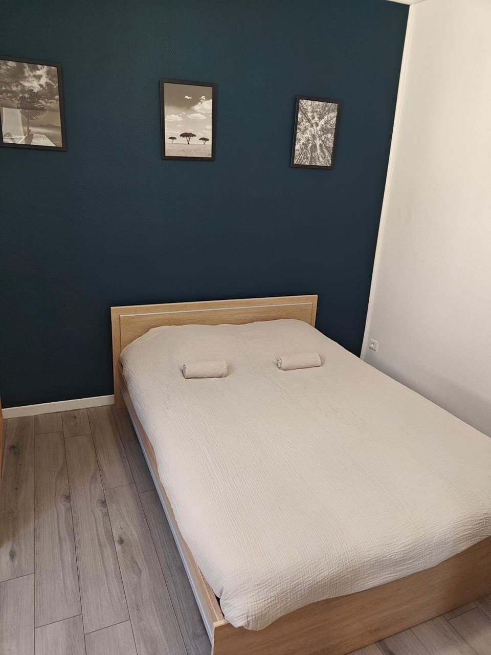 Appartement en centre ville Apartment in Thonon-les-Bains