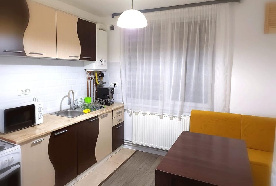 Apartament cu 1 camera ultracentral Apartment in Romania