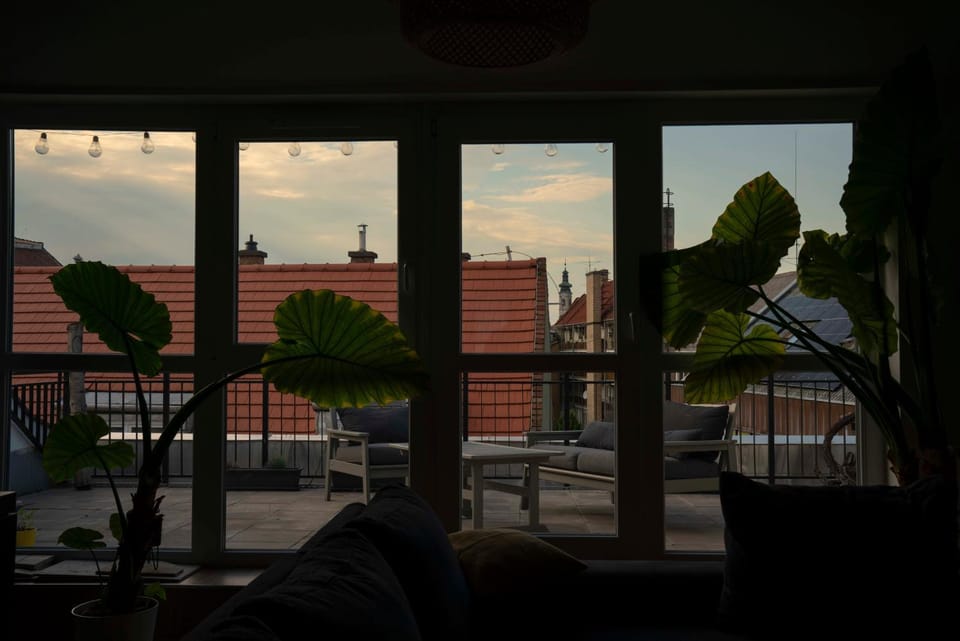 View (from property/room)