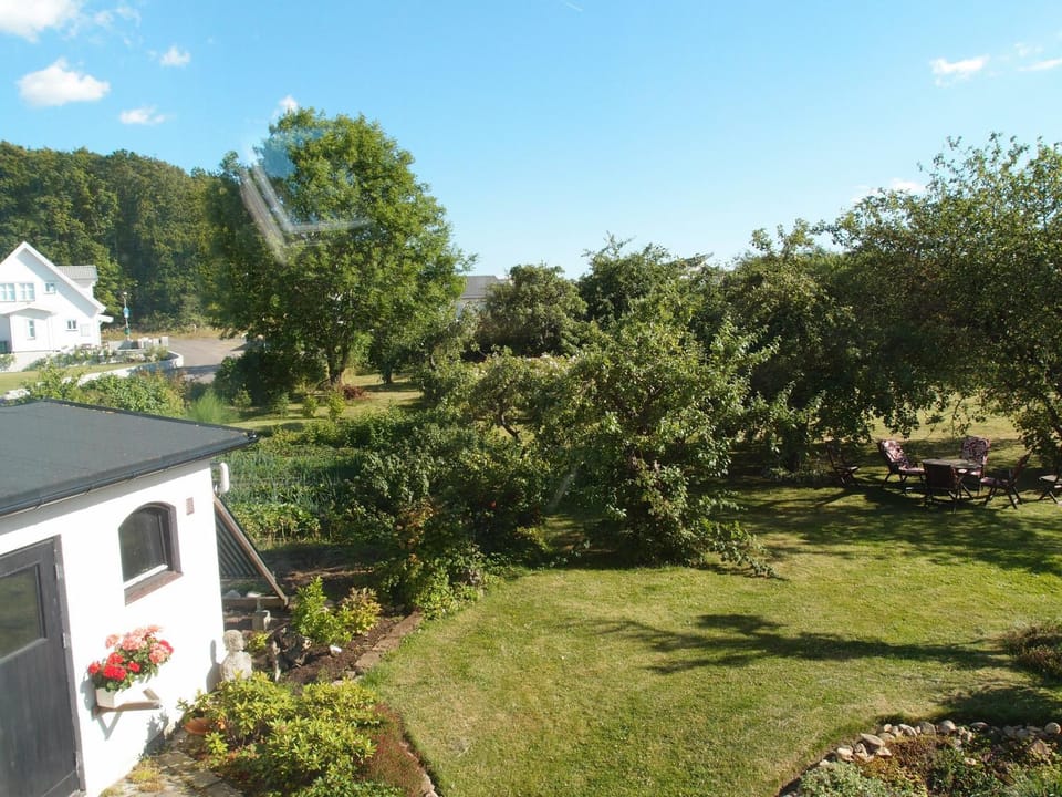 Summer, View (from property/room)
