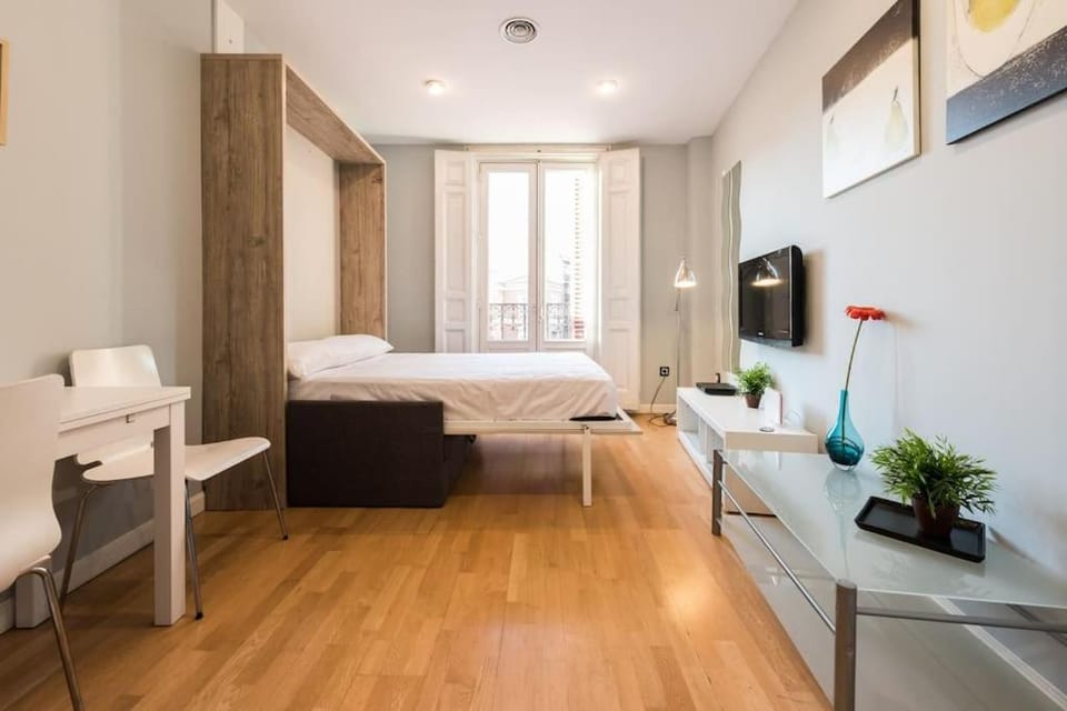 LA LATINA - PLAZA MAYOR - CENTRAL - MONTHS TOO - TEMPORADA Only workers, students, or for health reasons Apartment in Centro