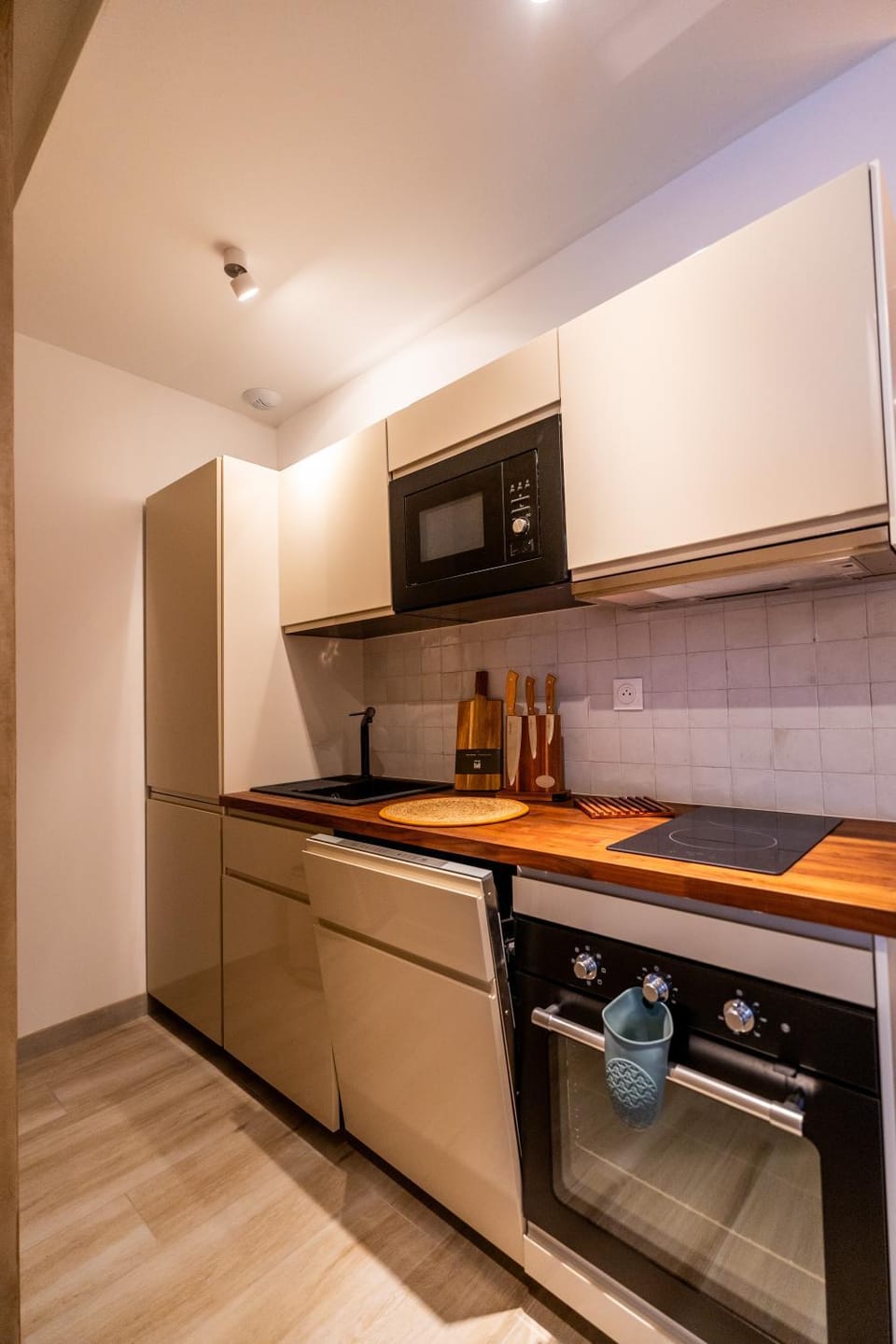 Kitchen or kitchenette, dishwasher, minibar, pet friendly, stove
