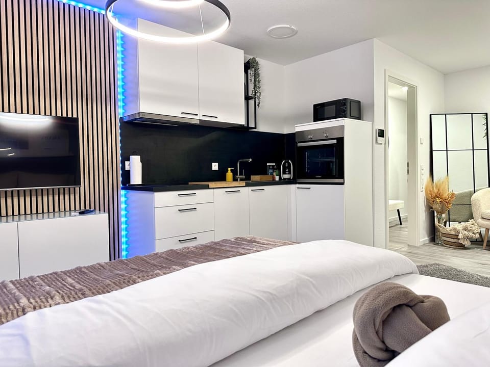 Bed, TV and multimedia, Kitchen or kitchenette, Photo of the whole room, Bedroom, minibar, pet friendly, stove