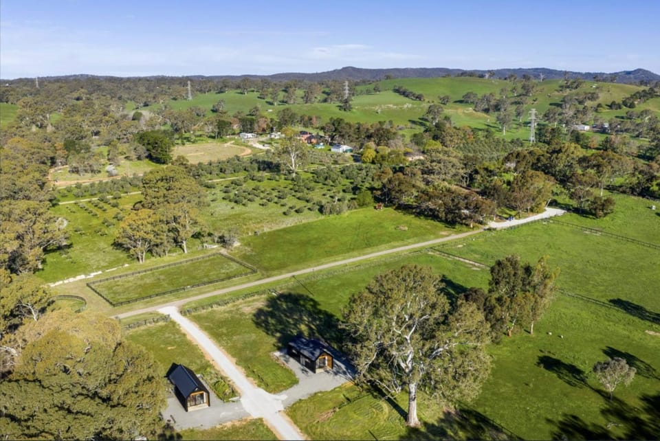 Landmark view