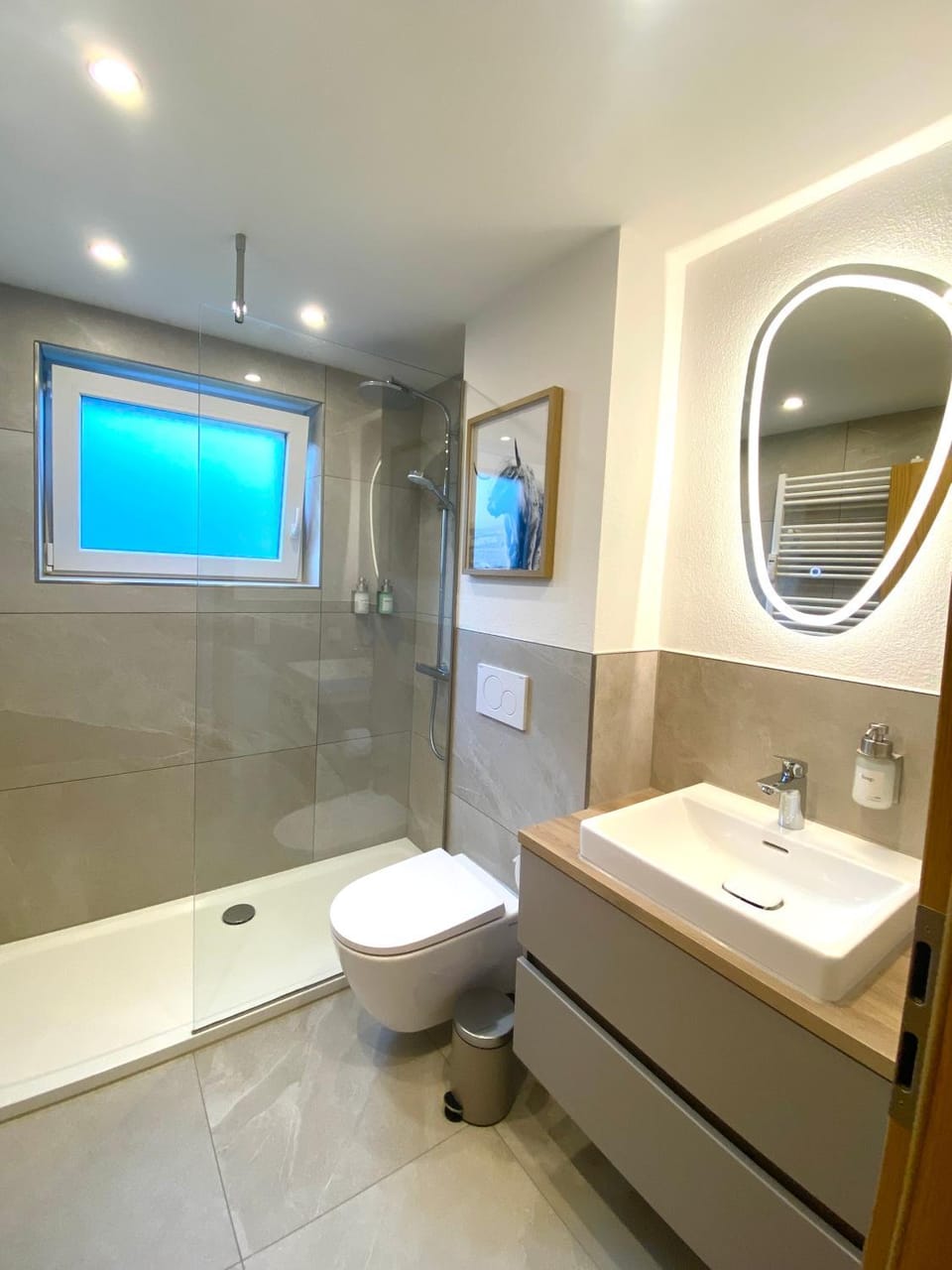 Shower, Toilet, Bathroom, towels