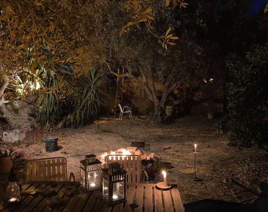 Night, Garden, Garden view