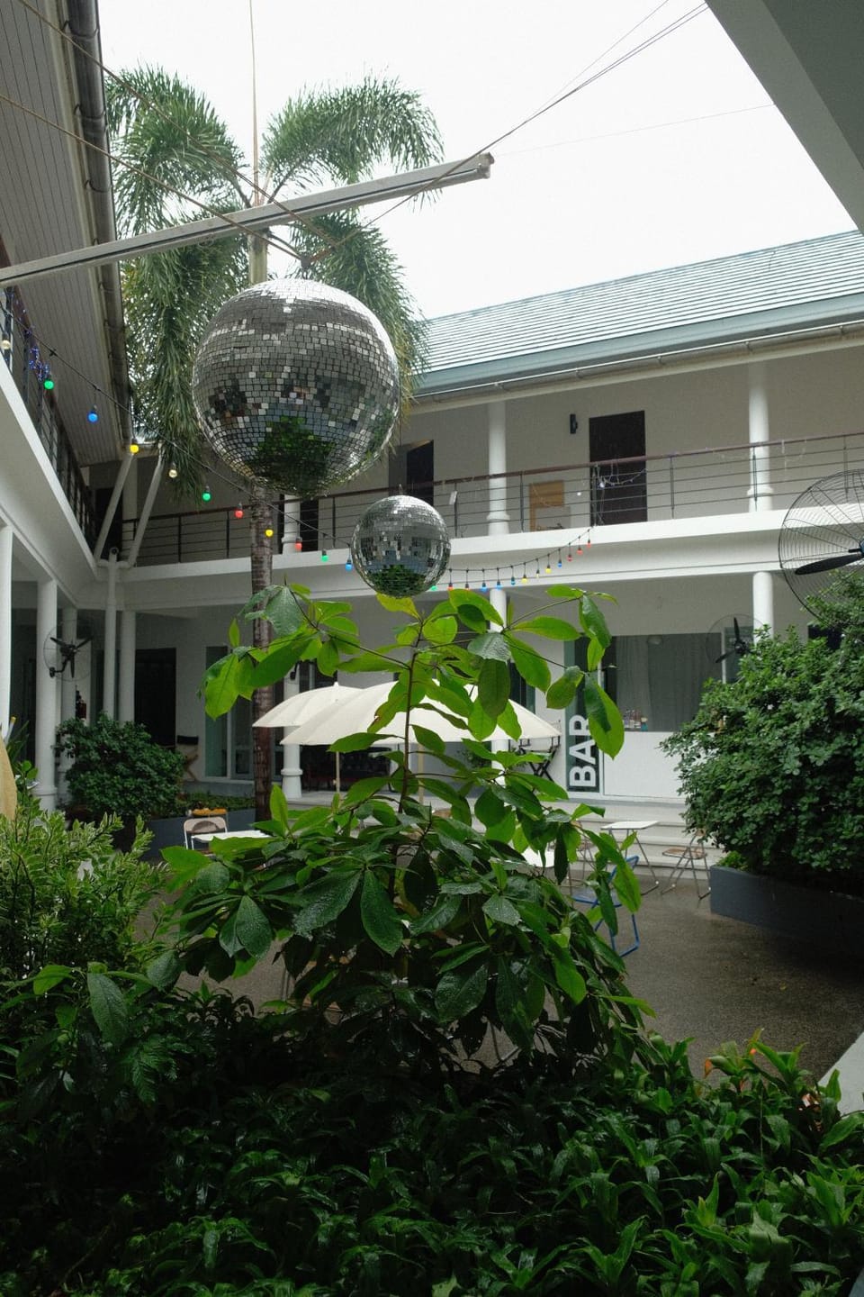Property building, Day, Garden view