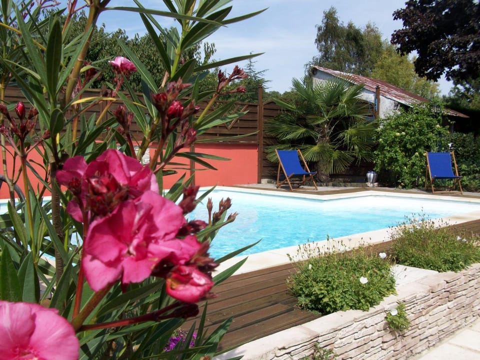 Swimming pool, Swimming pool