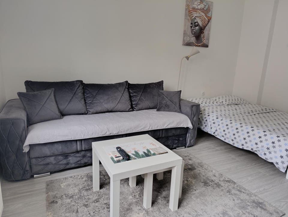 Smart Apartman Apartment in Zlatibor District, Serbia