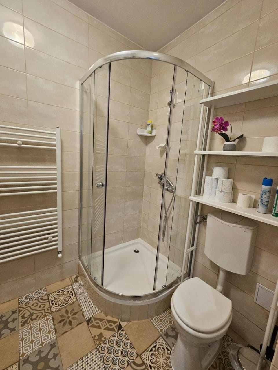 Shower, Toilet, Bathroom, towels
