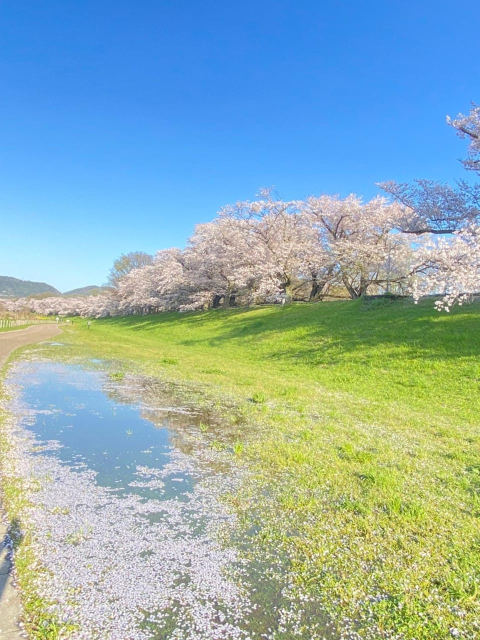 Accessible Four-Bedroom House near Kuzuha Station! House in Osaka Prefecture