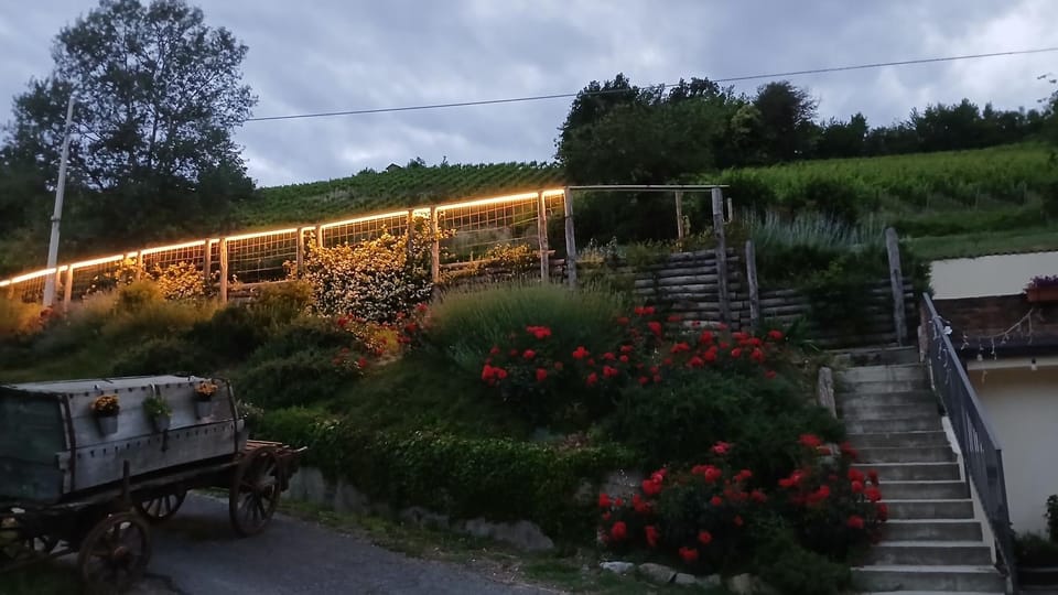 1929 Wine Food Relax Agriturismo Apartment hotel in Piedmont