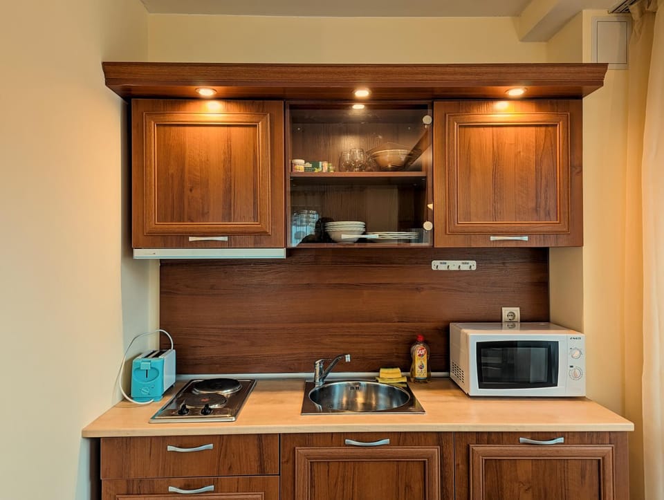 Coffee/tea facilities, Kitchen or kitchenette, minibar, stove, toaster