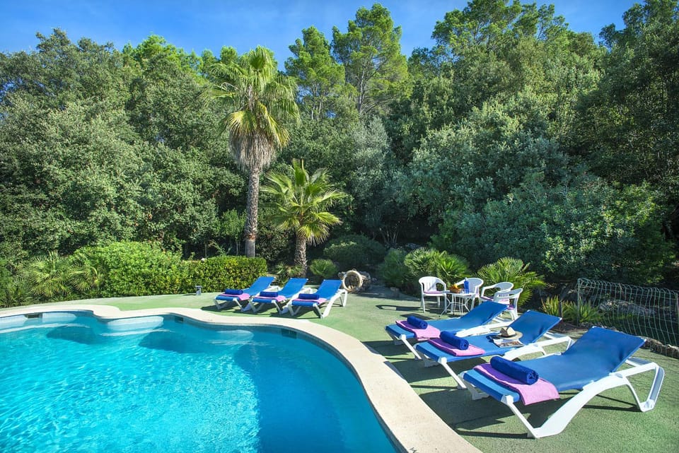 Patio, Day, Natural landscape, Garden, Garden view, Pool view, Swimming pool, sunbed