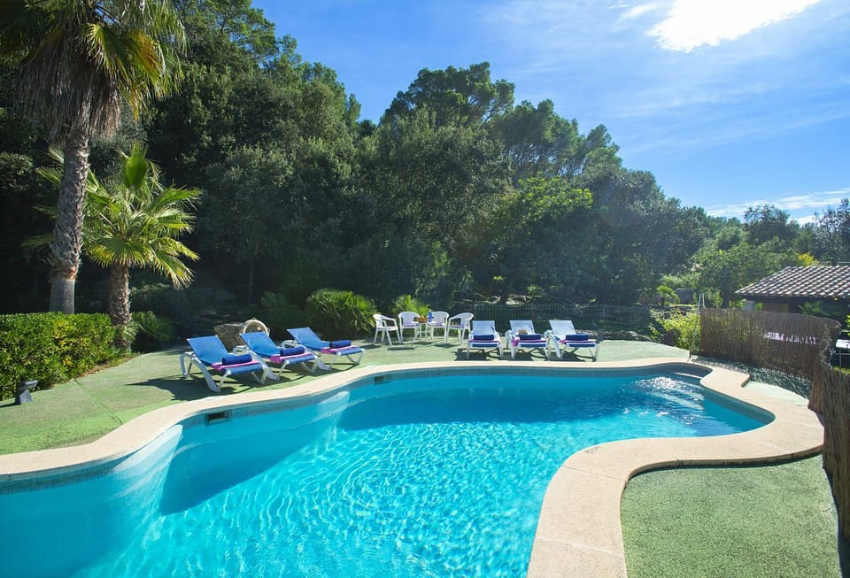 Natural landscape, Garden, Garden view, Pool view, Swimming pool, sunbed