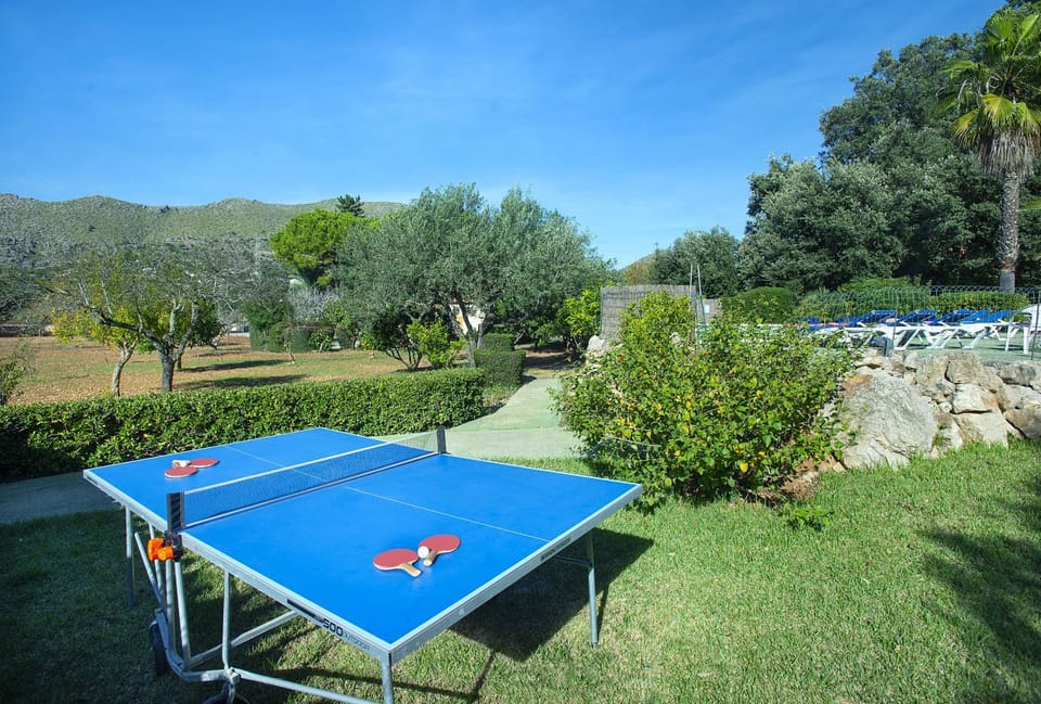 Natural landscape, Table tennis, Decorative detail